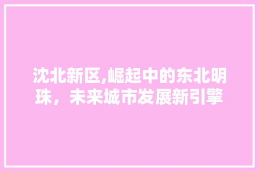 沈北新区,崛起中的东北明珠，未来城市发展新引擎