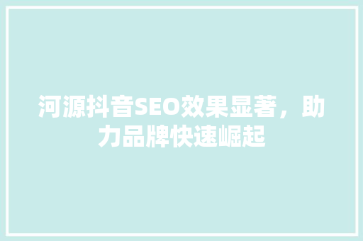 河源抖音SEO效果显著，助力品牌快速崛起