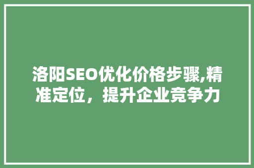 洛阳SEO优化价格步骤,精准定位，提升企业竞争力