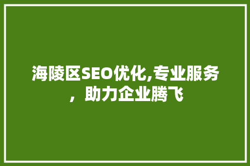 海陵区SEO优化,专业服务，助力企业腾飞