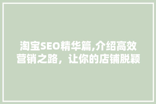 淘宝SEO精华篇,介绍高效营销之路，让你的店铺脱颖而出！