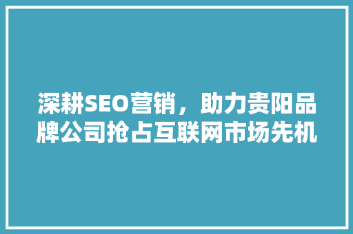 深耕SEO营销，助力贵阳品牌公司抢占互联网市场先机