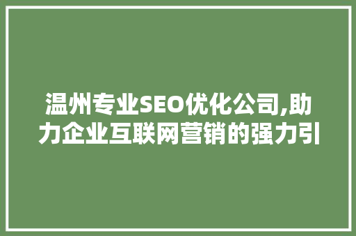 温州专业SEO优化公司,助力企业互联网营销的强力引擎