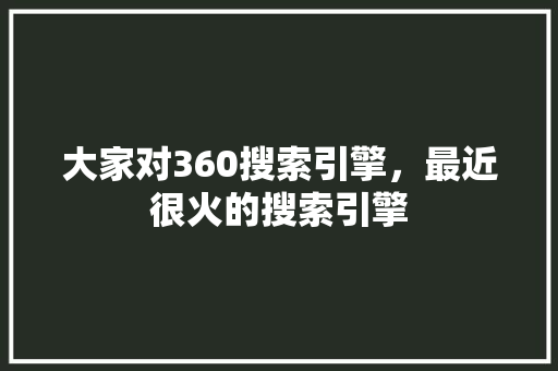 大家对360搜索引擎，最近很火的搜索引擎
