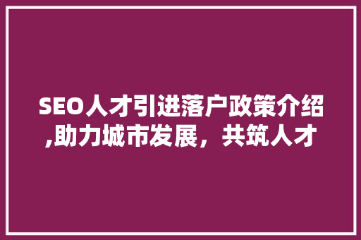 SEO人才引进落户政策介绍,助力城市发展，共筑人才高地