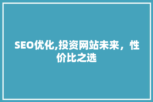 SEO优化,投资网站未来，性价比之选