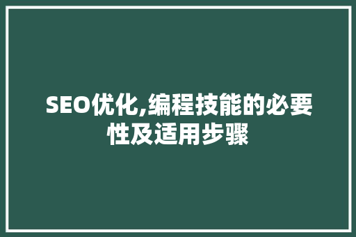 SEO优化,编程技能的必要性及适用步骤
