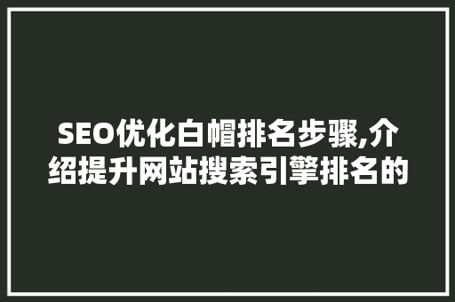 SEO优化白帽排名步骤,介绍提升网站搜索引擎排名的方法