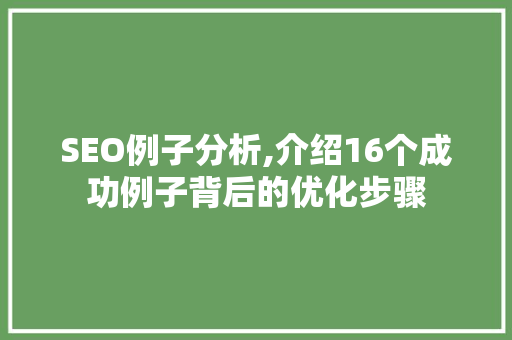 SEO例子分析,介绍16个成功例子背后的优化步骤