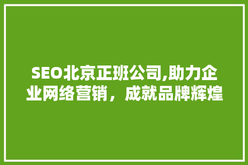 SEO北京正班公司,助力企业网络营销，成就品牌辉煌