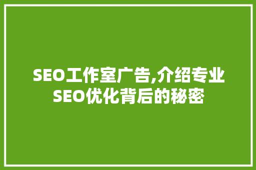SEO工作室广告,介绍专业SEO优化背后的秘密