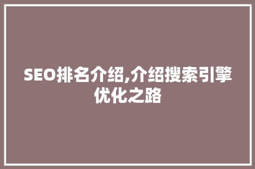 SEO排名介绍,介绍搜索引擎优化之路