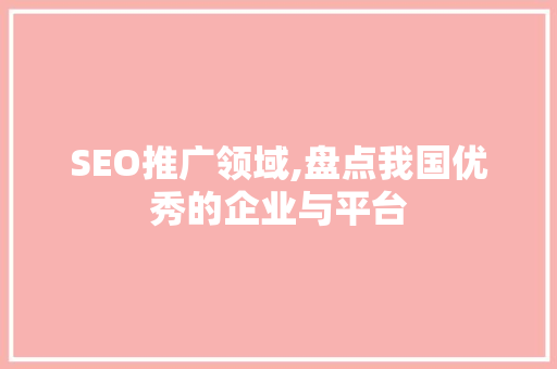 SEO推广领域,盘点我国优秀的企业与平台