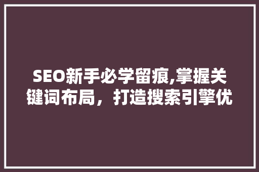 SEO新手必学留痕,掌握关键词布局，打造搜索引擎优化之路