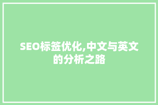 SEO标签优化,中文与英文的分析之路