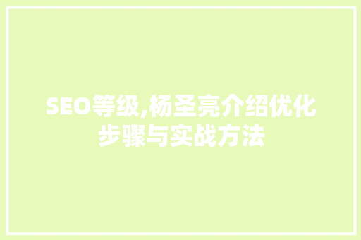 SEO等级,杨圣亮介绍优化步骤与实战方法