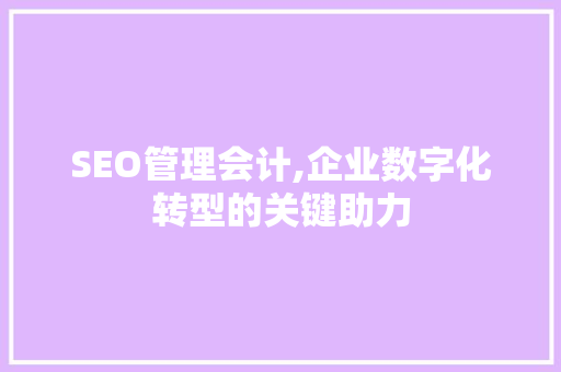 SEO管理会计,企业数字化转型的关键助力