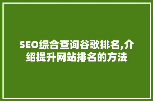 SEO综合查询谷歌排名,介绍提升网站排名的方法