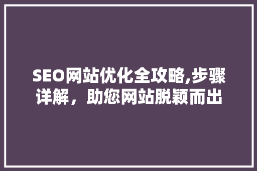 SEO网站优化全攻略,步骤详解，助您网站脱颖而出