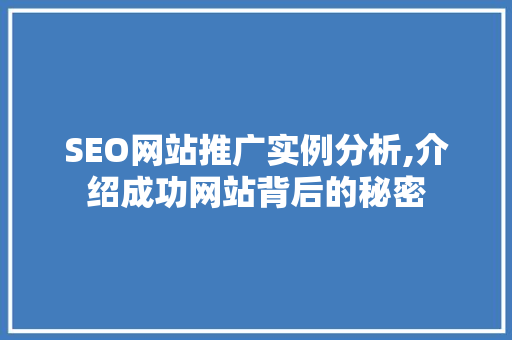 SEO网站推广实例分析,介绍成功网站背后的秘密