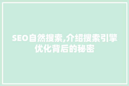SEO自然搜索,介绍搜索引擎优化背后的秘密