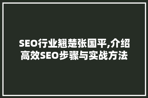 SEO行业翘楚张国平,介绍高效SEO步骤与实战方法
