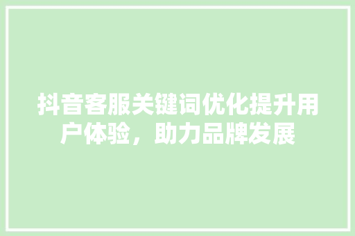抖音客服关键词优化提升用户体验，助力品牌发展