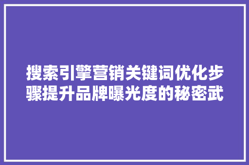 搜索引擎营销关键词优化步骤提升品牌曝光度的秘密武器