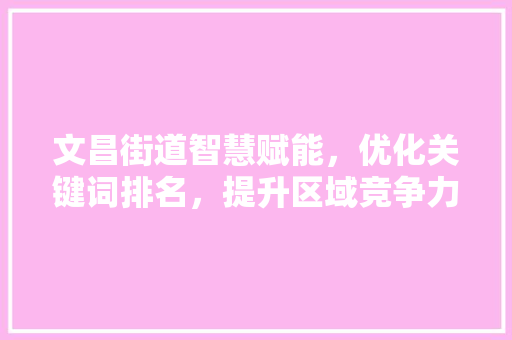 文昌街道智慧赋能，优化关键词排名，提升区域竞争力