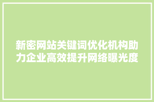 新密网站关键词优化机构助力企业高效提升网络曝光度