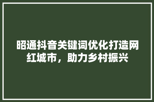 昭通抖音关键词优化打造网红城市，助力乡村振兴