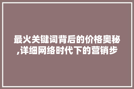 最火关键词背后的价格奥秘,详细网络时代下的营销步骤