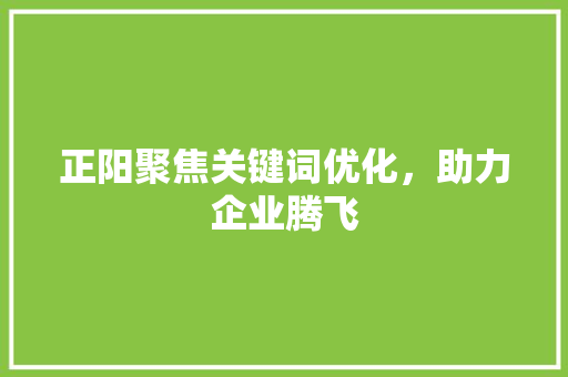 正阳聚焦关键词优化，助力企业腾飞