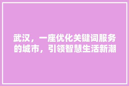 武汉，一座优化关键词服务的城市，引领智慧生活新潮流
