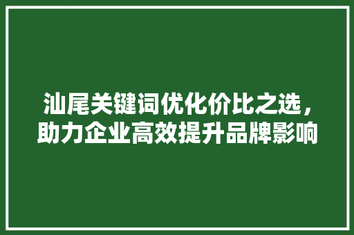 汕尾关键词优化价比之选，助力企业高效提升品牌影响力