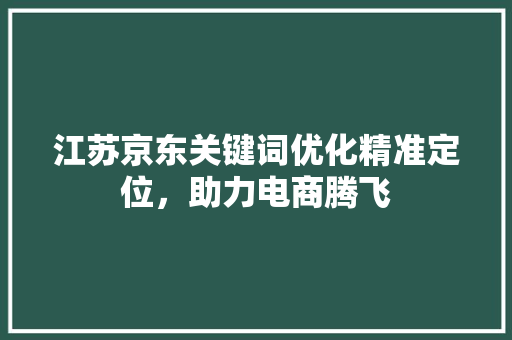 江苏京东关键词优化精准定位，助力电商腾飞