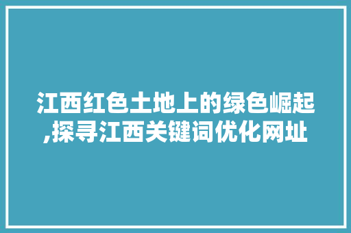 江西红色土地上的绿色崛起,探寻江西关键词优化网址的魅力