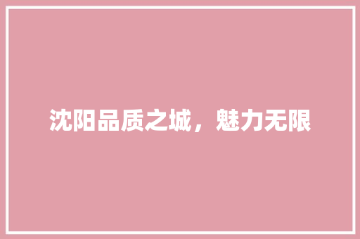 沈阳品质之城，魅力无限