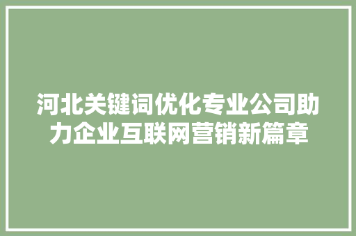 河北关键词优化专业公司助力企业互联网营销新篇章