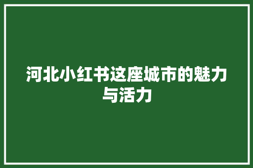 河北小红书这座城市的魅力与活力