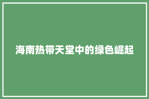 海南热带天堂中的绿色崛起