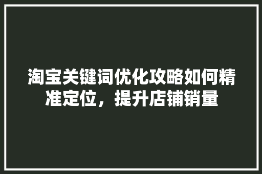 淘宝关键词优化攻略如何精准定位，提升店铺销量