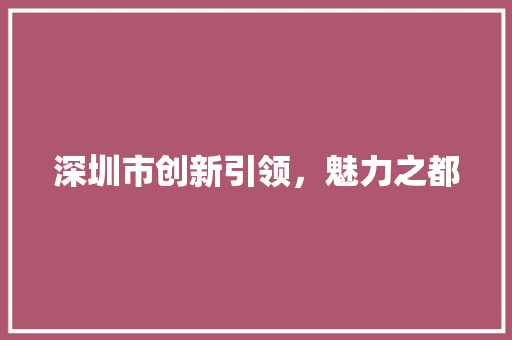 深圳市创新引领，魅力之都
