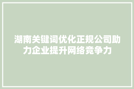 湖南关键词优化正规公司助力企业提升网络竞争力