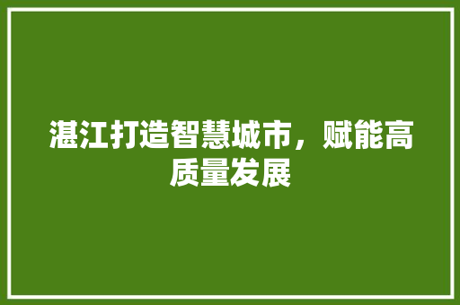 湛江打造智慧城市，赋能高质量发展