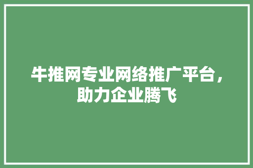 牛推网专业网络推广平台，助力企业腾飞
