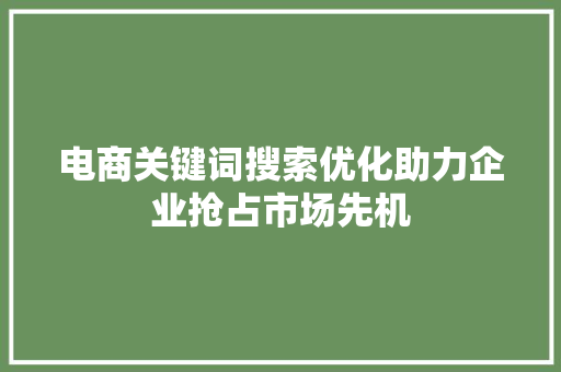 电商关键词搜索优化助力企业抢占市场先机