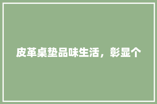 皮革桌垫品味生活，彰显个