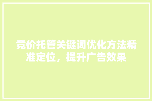竞价托管关键词优化方法精准定位，提升广告效果