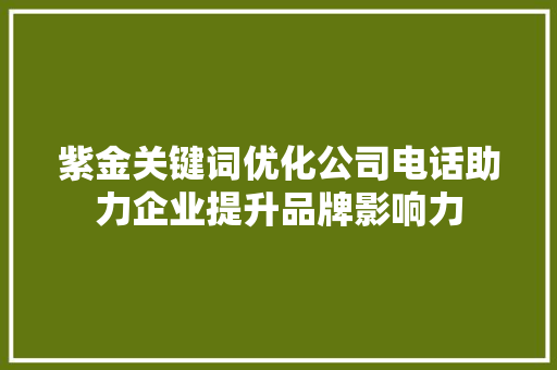 紫金关键词优化公司电话助力企业提升品牌影响力